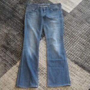 Express Blue Denim Jeans